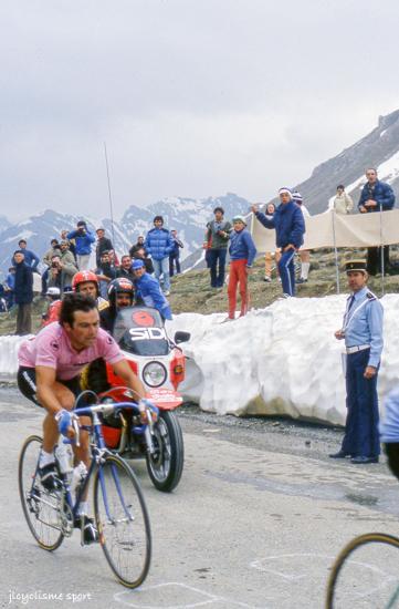 Giro 1982